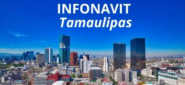 Oficinas infonavit en Tamaulipas